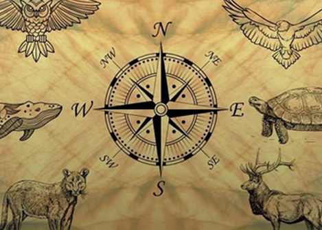 ייעוץ והכוונה באמצעות קלפי סגולה - רוית בניהו