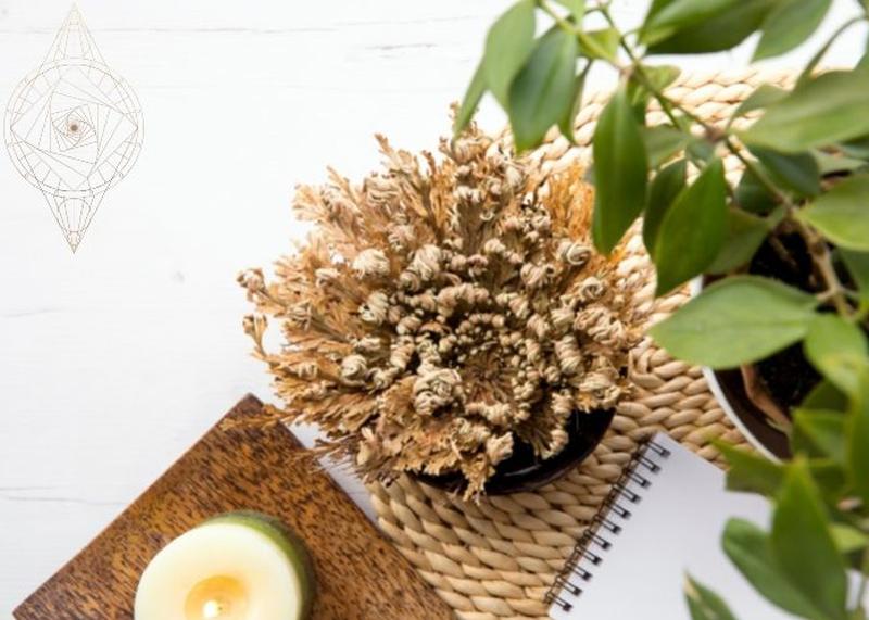 רוית בניהו - רפואות קדומות בדרך הלב