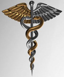 נחש &ndash; חיית טוטם