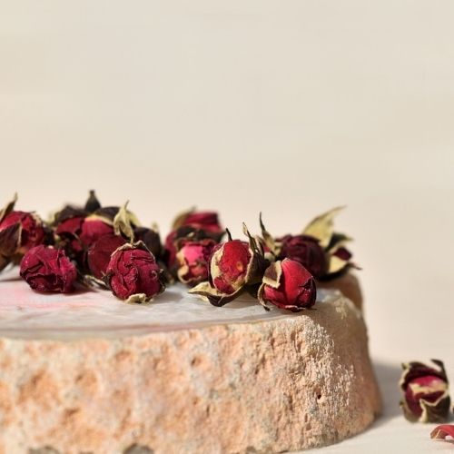 ניצני ורדים