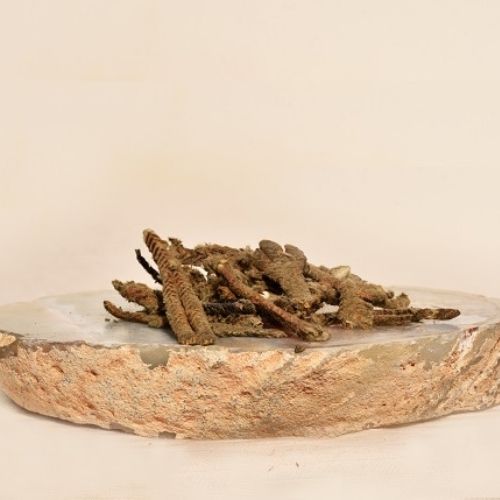 פאלמה דולסה