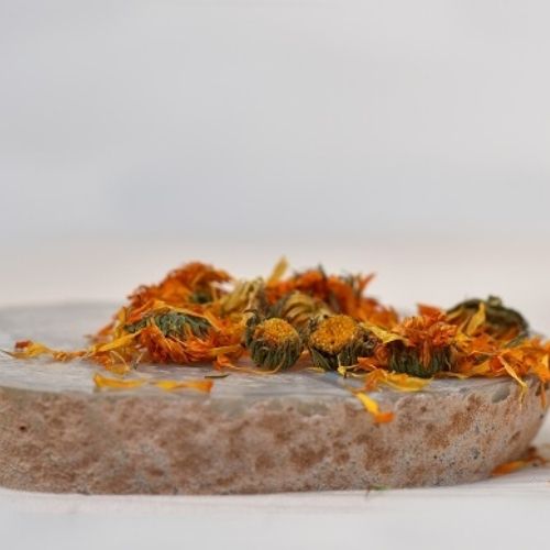 פרחי קלנדולה