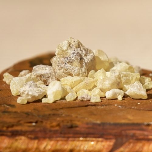 שרף דמאר לבן