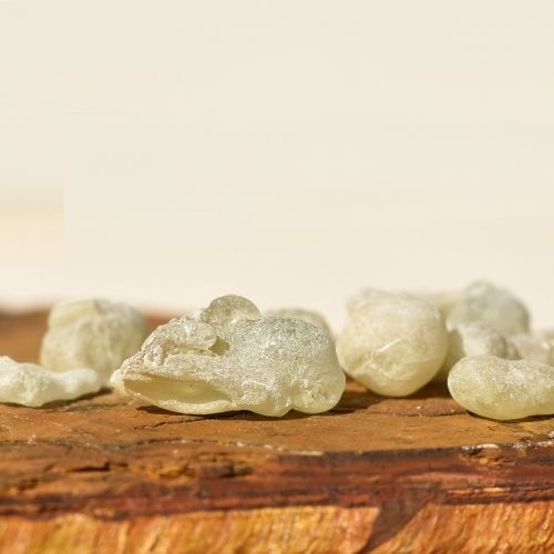 שרף לבונה ירוקה