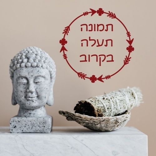 באנדל מרווה לבנה